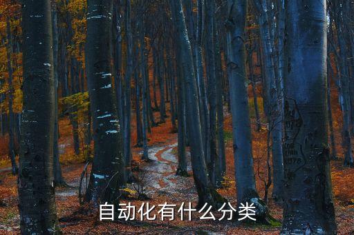 自動化有什么分類