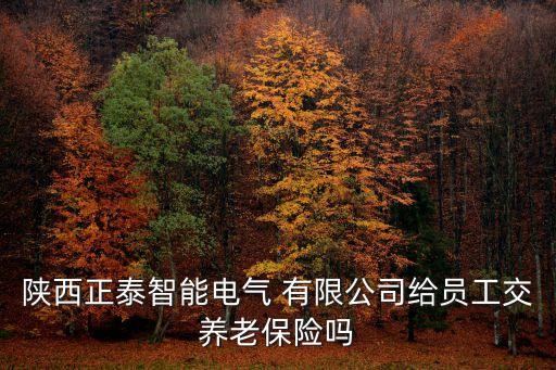 陜西正泰智能電氣 有限公司給員工交養(yǎng)老保險嗎