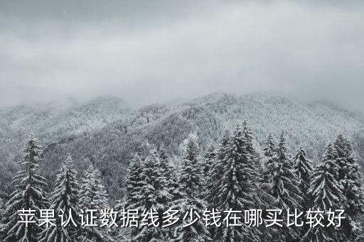 蘋果認證數(shù)據(jù)線多少錢在哪買比較好