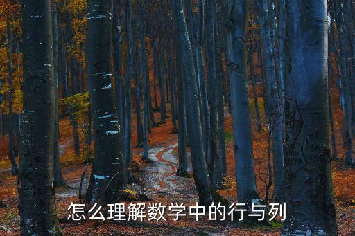 列行的區(qū)別，什么 是行和列