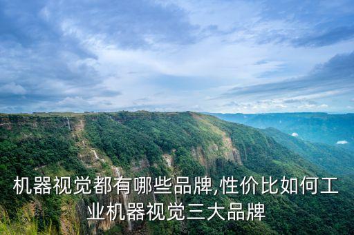機器視覺都有哪些品牌,性價比如何工業(yè)機器視覺三大品牌