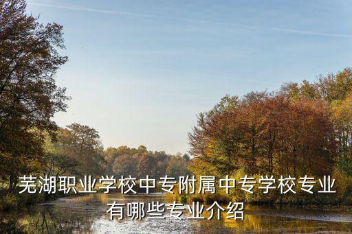  蕪湖職業(yè)學(xué)校中專附屬中專學(xué)校專業(yè)有哪些專業(yè)介紹