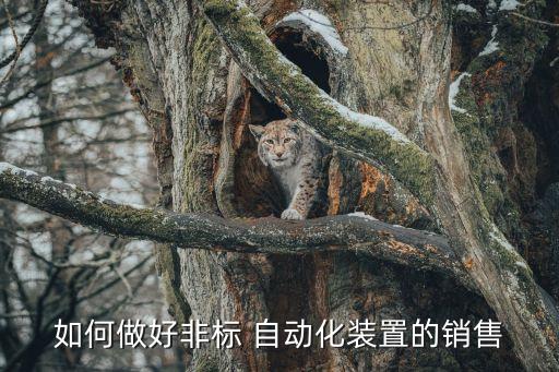 如何做好非標(biāo) 自動化裝置的銷售