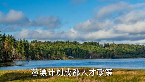 成都大數(shù)據(jù)產(chǎn)業(yè)發(fā)展,成都大數(shù)據(jù)創(chuàng)業(yè)企業(yè)超過300家