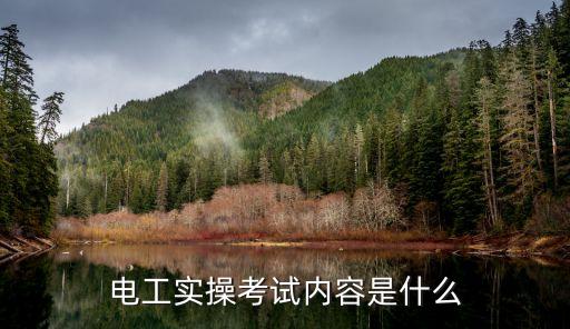 電氣自動化專升本考實操內容,