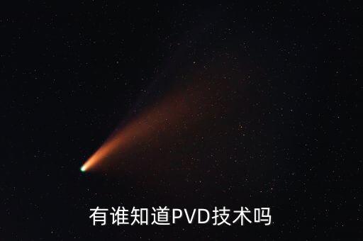 有誰知道PVD技術嗎