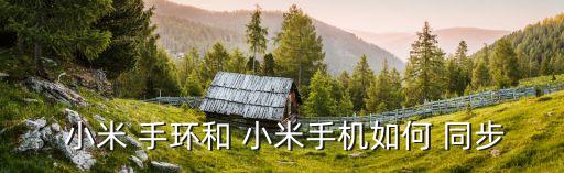 小米手環(huán)數(shù)據(jù)同步qq