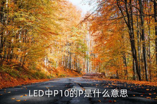 LED中P10的P是什么意思