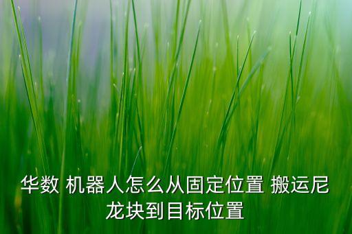 機(jī)器人搬運(yùn)工程,agv智能搬運(yùn)機(jī)器人