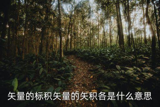 矢量的標(biāo)積矢量的矢積各是什么意思
