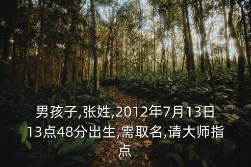 張新實(shí),評(píng)估師悲慘遭遇續(xù)》最新全集下載