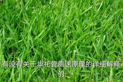 有沒有關(guān)于畢托管測速原理的詳細(xì)解釋的