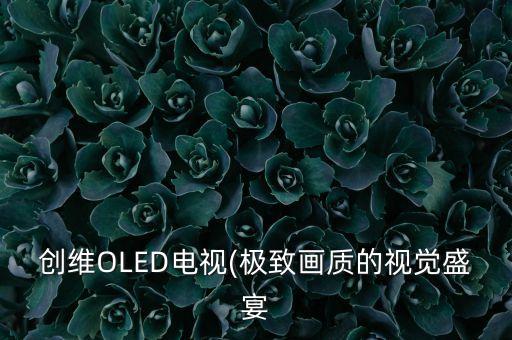 oled自動(dòng)化設(shè)備視頻,電視oled和led的區(qū)別