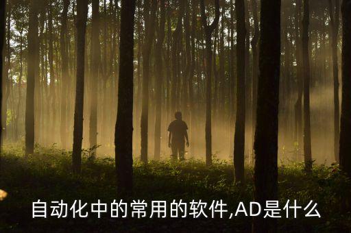 自動(dòng)化中的常用的軟件,AD是什么