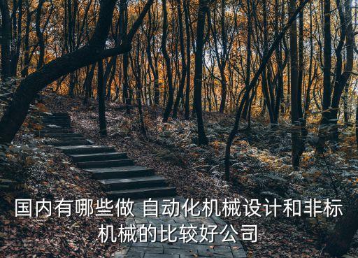 國內(nèi)有哪些做 自動化機(jī)械設(shè)計(jì)和非標(biāo)機(jī)械的比較好公司