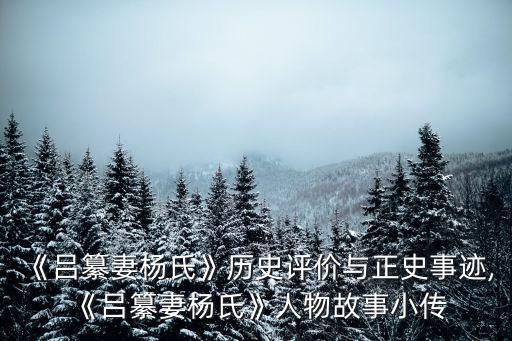 《呂纂妻楊氏》歷史評(píng)價(jià)與正史事跡,《呂纂妻楊氏》人物故事小傳