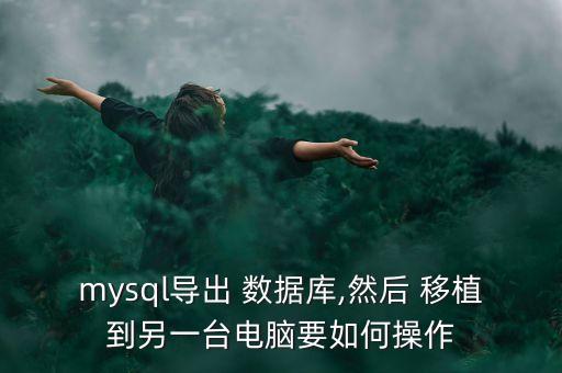mysql導(dǎo)出 數(shù)據(jù)庫,然后 移植到另一臺電腦要如何操作