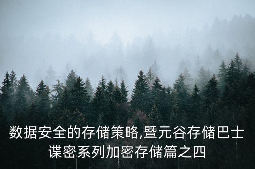 數(shù)據(jù)安全的存儲(chǔ)策略,暨元谷存儲(chǔ)巴士諜密系列加密存儲(chǔ)篇之四