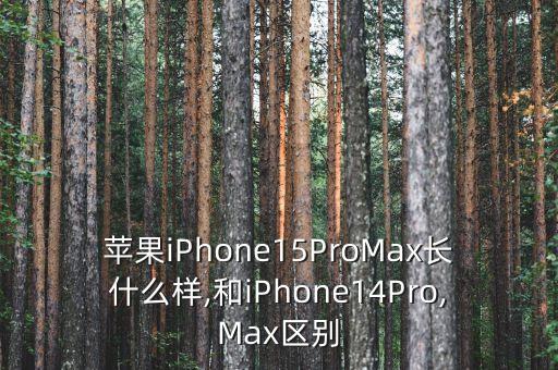 蘋果iPhone15ProMax長什么樣,和iPhone14Pro,Max區(qū)別