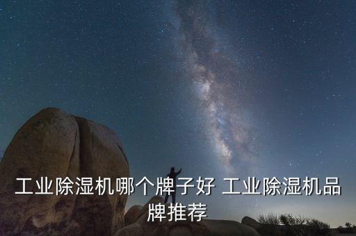 工業(yè)除濕機哪個牌子好 工業(yè)除濕機品牌推薦
