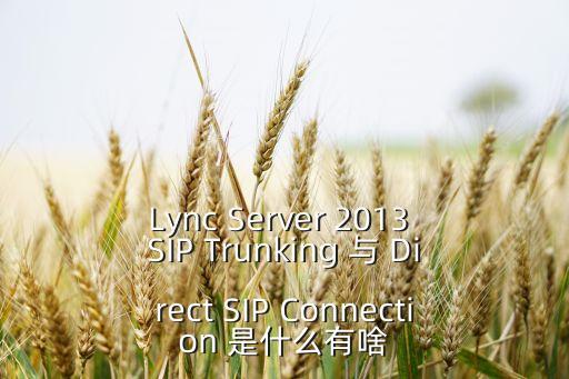 sip中繼，電話程控電話交換機(jī)中繼端口干什么用的