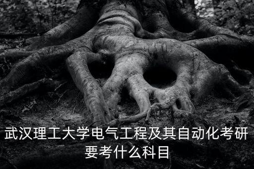 武漢理工大學(xué)電氣工程及其自動(dòng)化考研要考什么科目