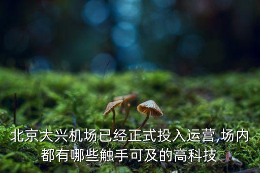 機(jī)器人泊車,?？低曋悄懿窜嚈C(jī)器人