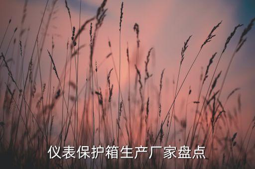 儀表保護(hù)箱生產(chǎn)廠家盤(pán)點(diǎn)