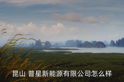 昆山 普星新能源有限公司怎么樣