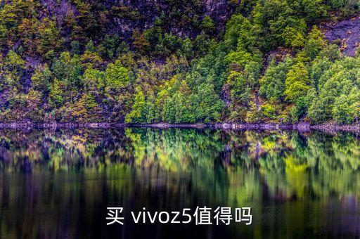 買 vivoz5值得嗎