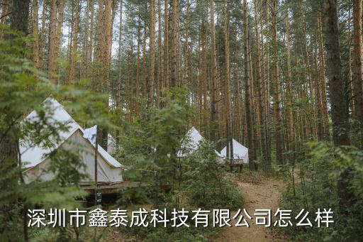深圳先進自動化設備,本地自動化設備公司怎么樣?