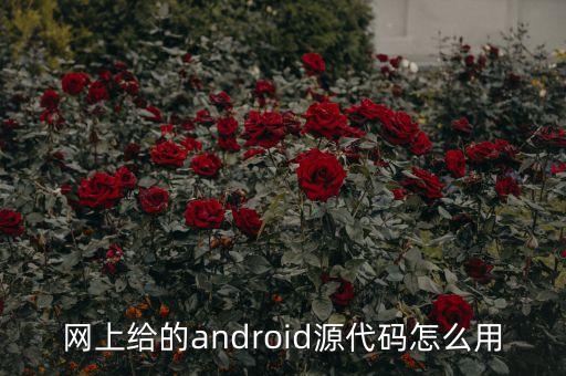 碼農(nóng)網(wǎng)，求 Windows PE 環(huán)境下可用的網(wǎng)絡(luò)瀏覽器