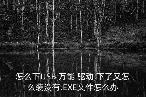 usb萬能驅(qū)動,USB萬能驅(qū)動下載