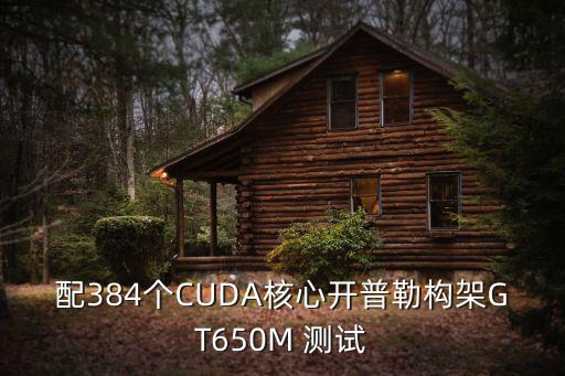 配384個CUDA核心開普勒構(gòu)架GT650M 測試
