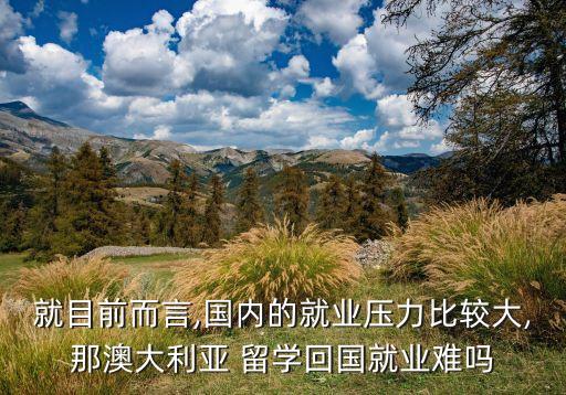 就目前而言,國(guó)內(nèi)的就業(yè)壓力比較大,那澳大利亞 留學(xué)回國(guó)就業(yè)難嗎
