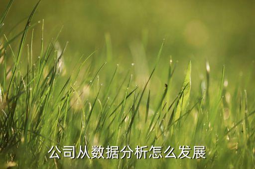 公司從數(shù)據(jù)分析怎么發(fā)展