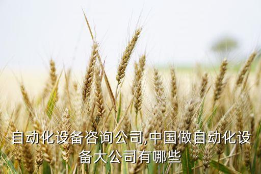 全球自動(dòng)化設(shè)備咨詢公司,中國做自動(dòng)化設(shè)備大公司有哪些?