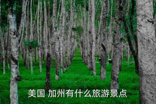 美國(guó) 加州有什么旅游景點(diǎn)