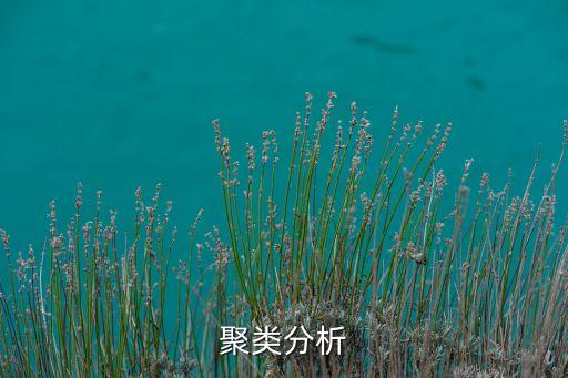 聚類分析