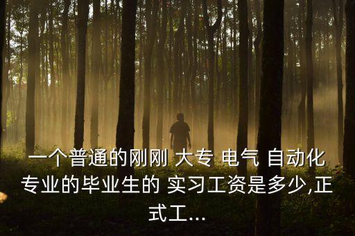 一個普通的剛剛 大專 電氣 自動化專業(yè)的畢業(yè)生的 實習(xí)工資是多少,正式工...