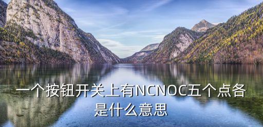 一個(gè)按鈕開(kāi)關(guān)上有NCNOC五個(gè)點(diǎn)各是什么意思