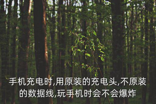 便宜數(shù)據(jù)線能爆炸么,數(shù)據(jù)線壞了怎么辦?一般不會爆炸