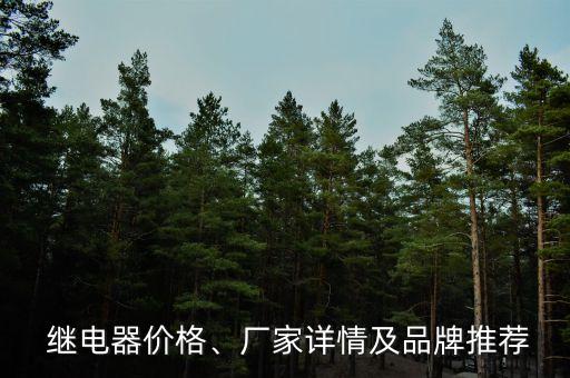 繼電器自動化組裝設備,自動化設備組裝調試工資高嗎