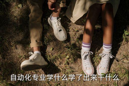對自動化專業(yè)學科的,自動化專業(yè)的發(fā)展與未來