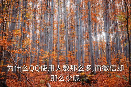 為什么QQ使用人數(shù)那么多,而微信卻那么少呢