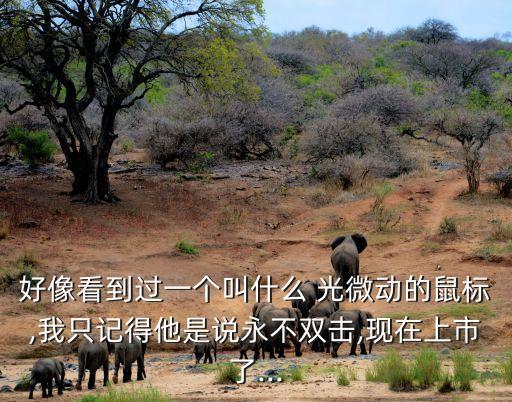 好像看到過一個(gè)叫什么 光微動(dòng)的鼠標(biāo),我只記得他是說永不雙擊,現(xiàn)在上市了...