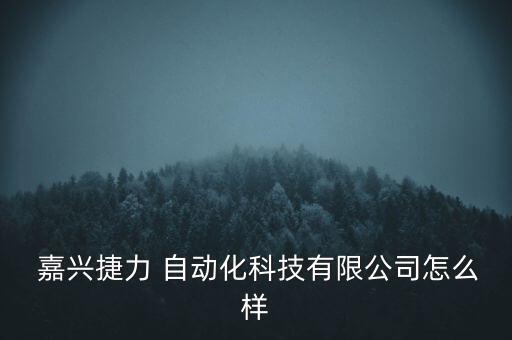 嘉興機械自動化設(shè)備,嘉興立晟自動化設(shè)備有限公司