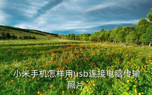 小米 網(wǎng)易 數(shù)據(jù)線,小米11原裝數(shù)據(jù)線是幾A