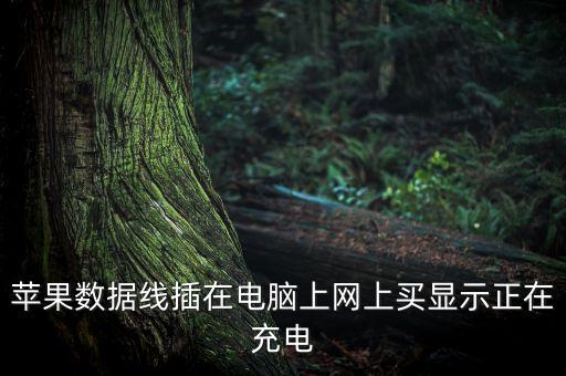 蘋果數(shù)據(jù)線插在電腦上網(wǎng)上買顯示正在充電