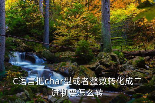 C語(yǔ)言把char型或者整數(shù)轉(zhuǎn)化成二進(jìn)制要怎么轉(zhuǎn)